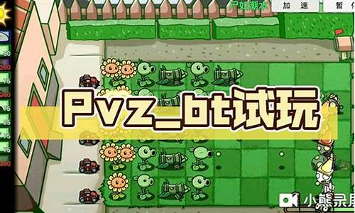 pvzbt攻略大全-pvzbd攻略